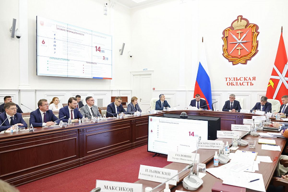 В Тульском правительстве обсудили рейтинг эффективности органов власти в сфере промышленности за 2024 год
