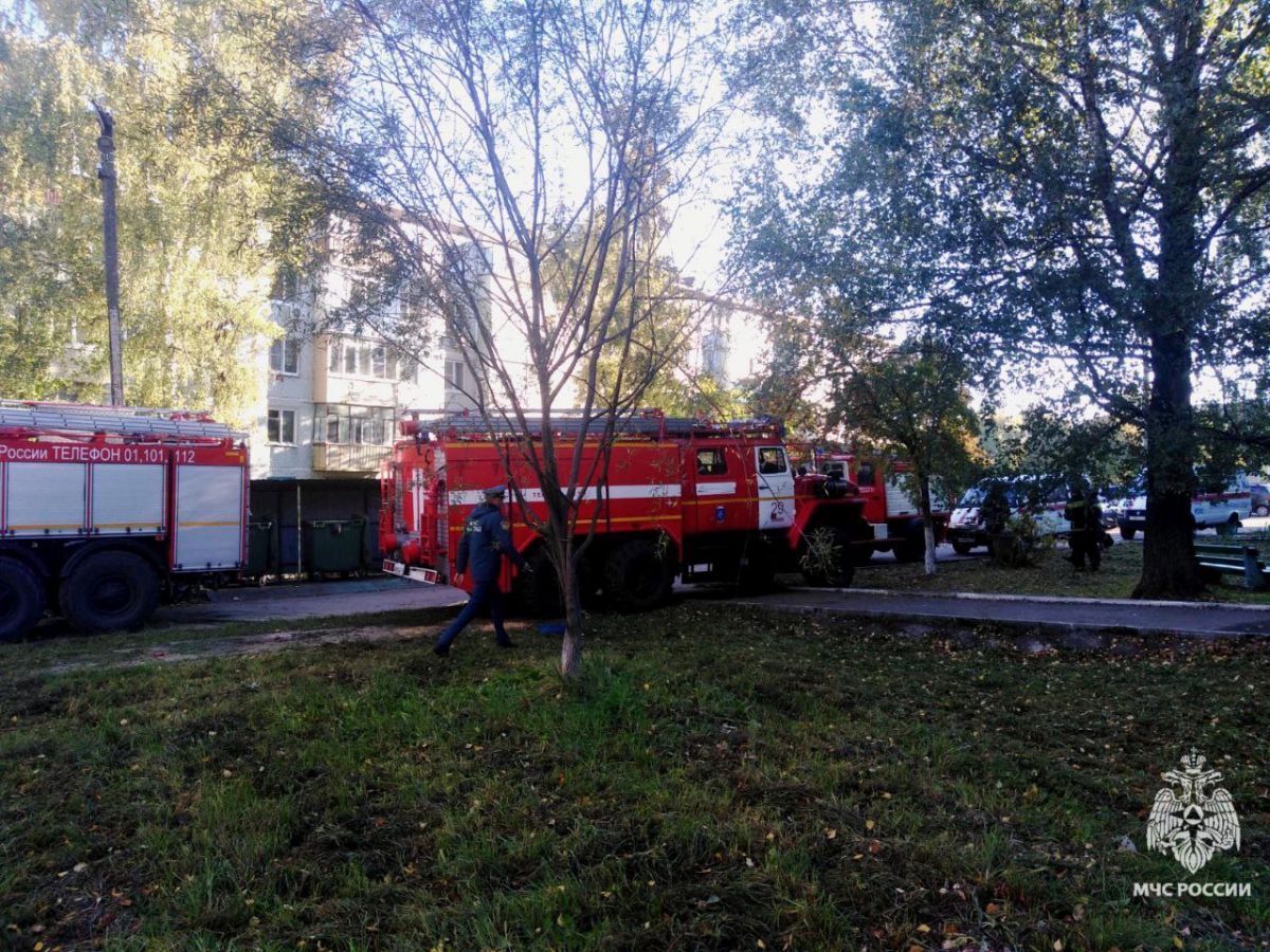 На пожаре в Тульской области спасли 83-летнюю пенсионерку и 7-летнего мальчика