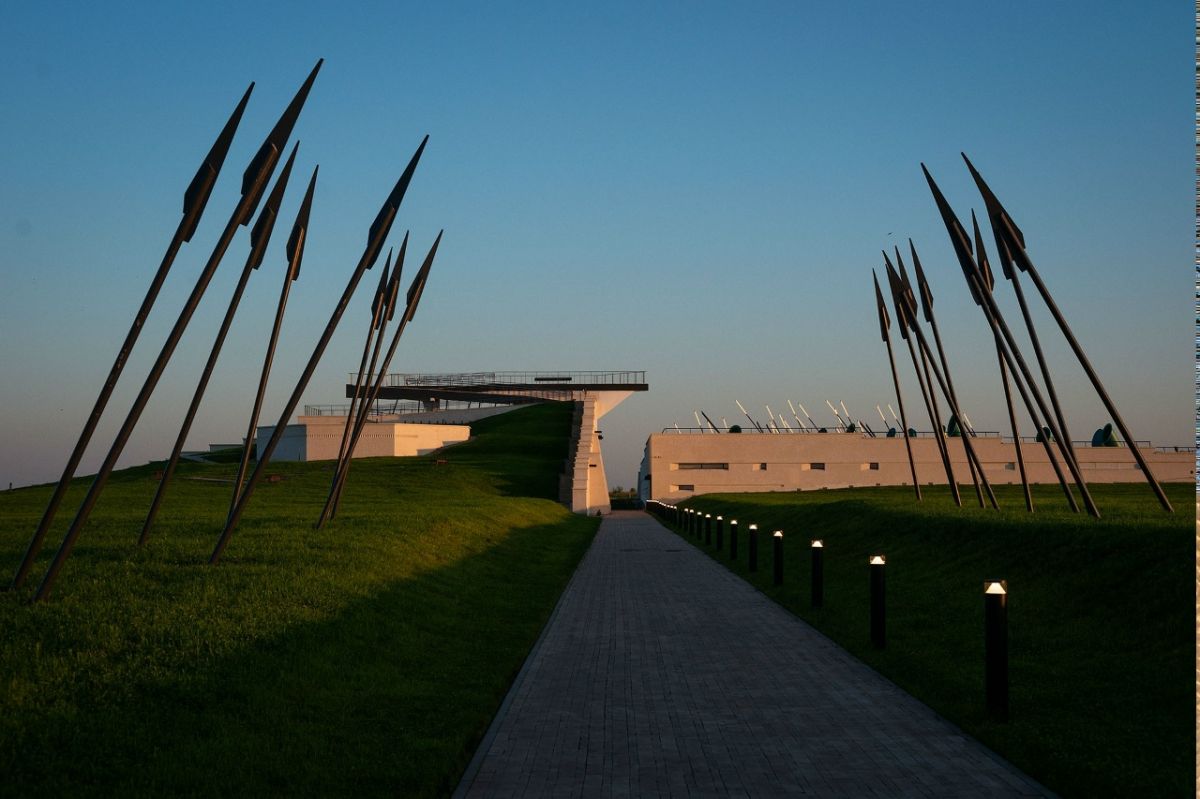 Кулики уходят с Куликова поля в Тульской области: с чем это связано?