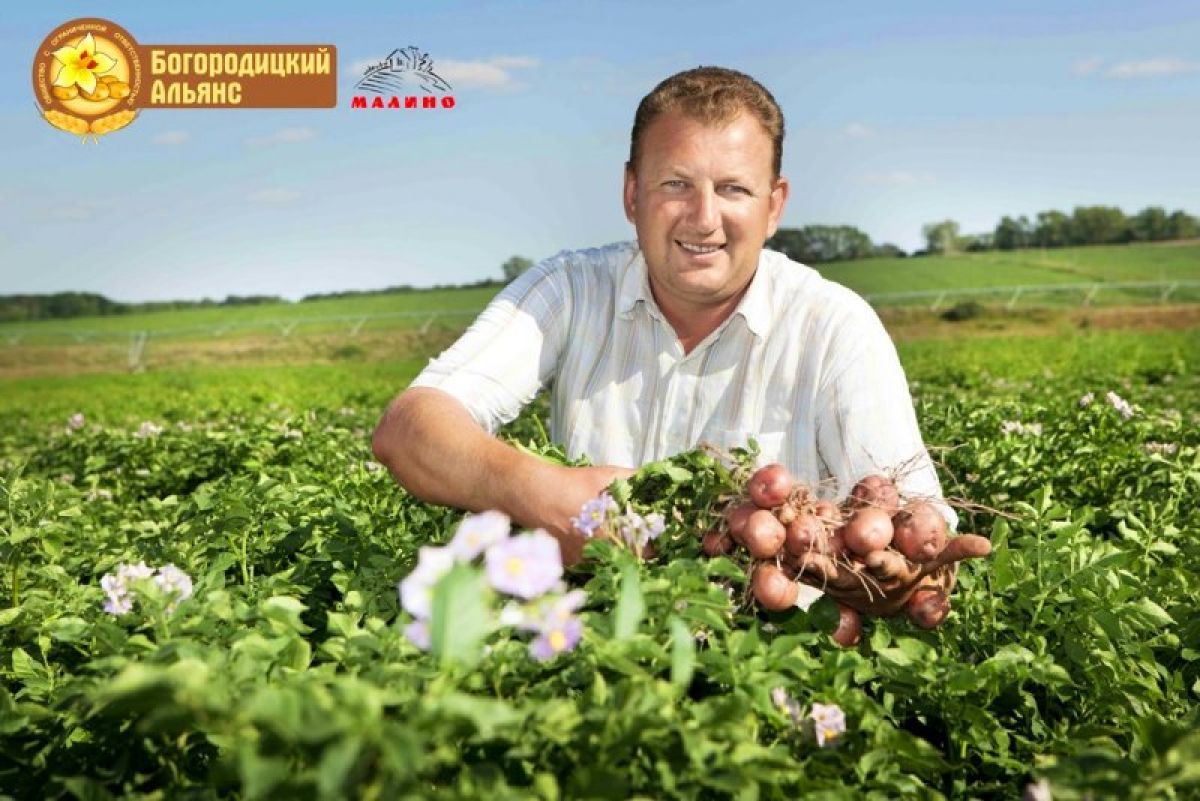 Владимир Путин отметил заслуги директора ООО «Богородицкий альянс» Николая Лаврентьева