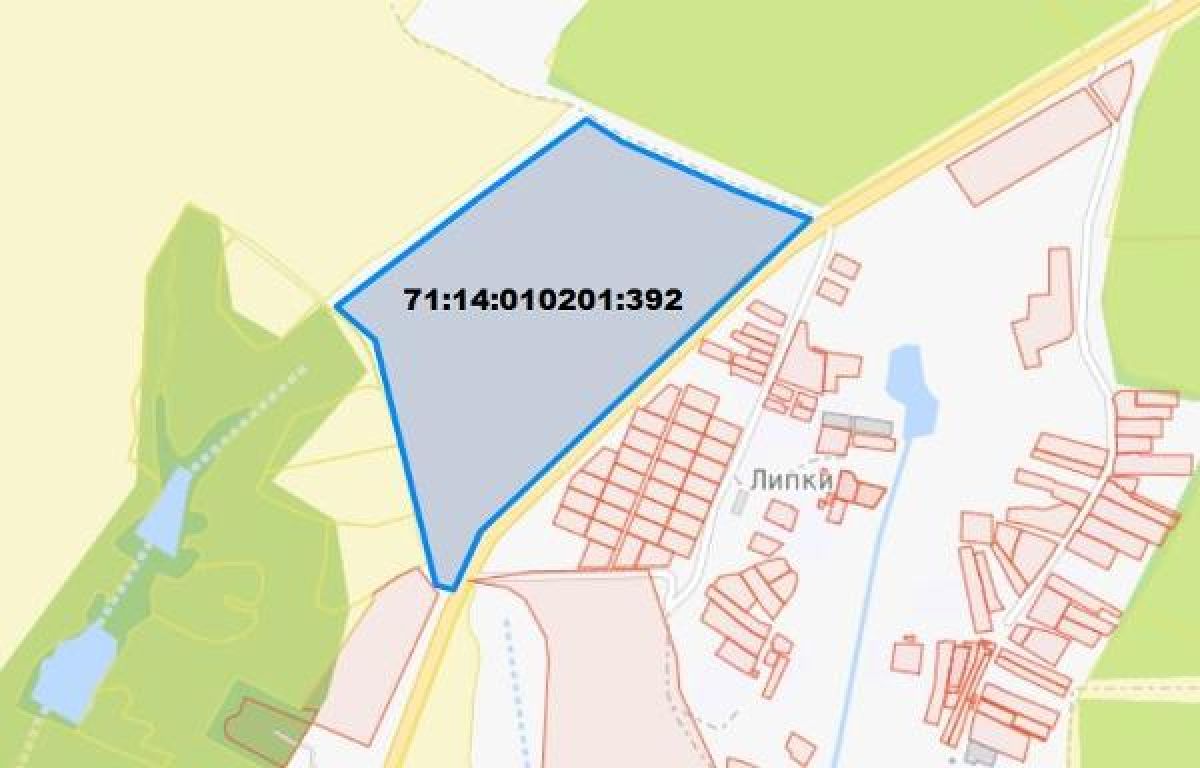 В тульских Липках выделили участок под комплексное развитие территории. Землю выставили на аукцион