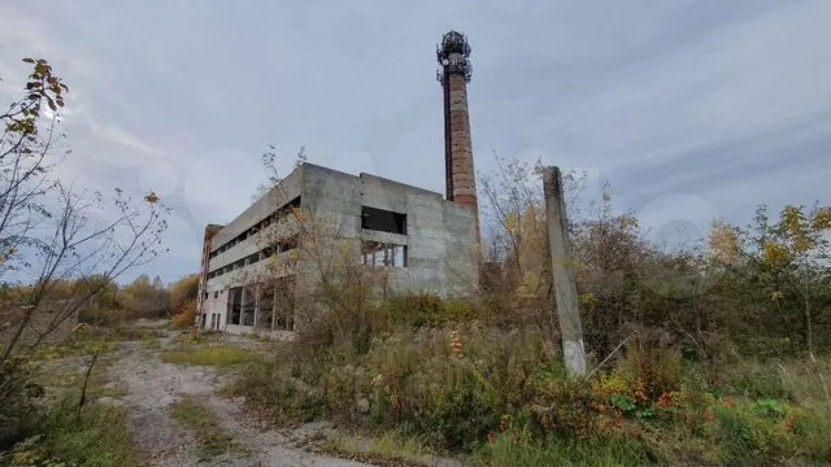В поселке Рассвет под Тулой за 120 млн рублей продают комплекс бывшей птицефабрики «Тульский бройлер»