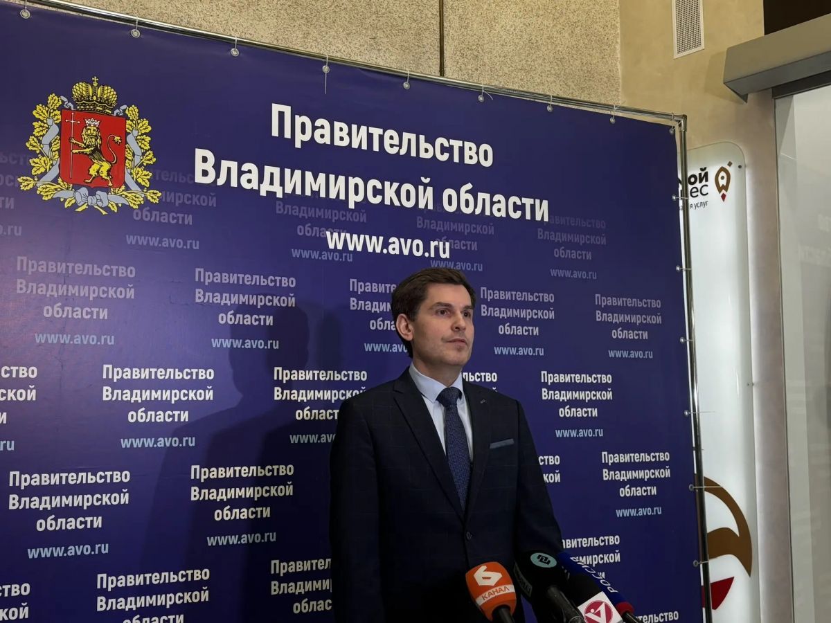 Власти Владимирской области попросили автовладельцев не создавать «искусственных» очередей на АЗС