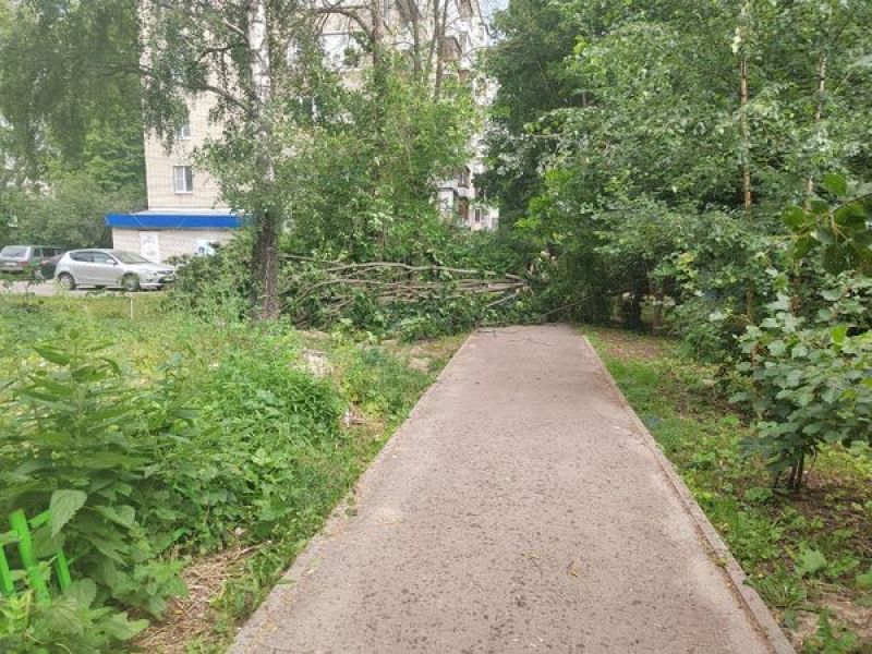 Стали известны угрожающие жизни владимирцам последствия непогоды ...