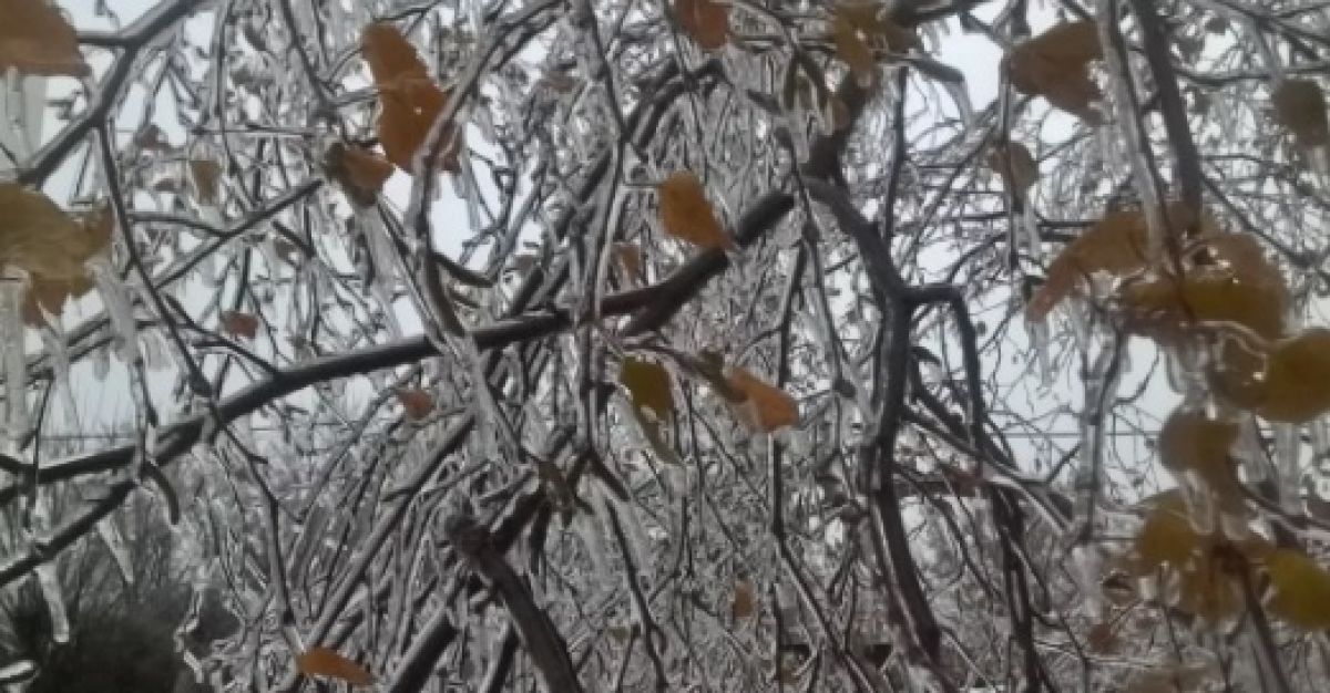 На Владимирскую область надвигается ледяной дождь из соседнего региона