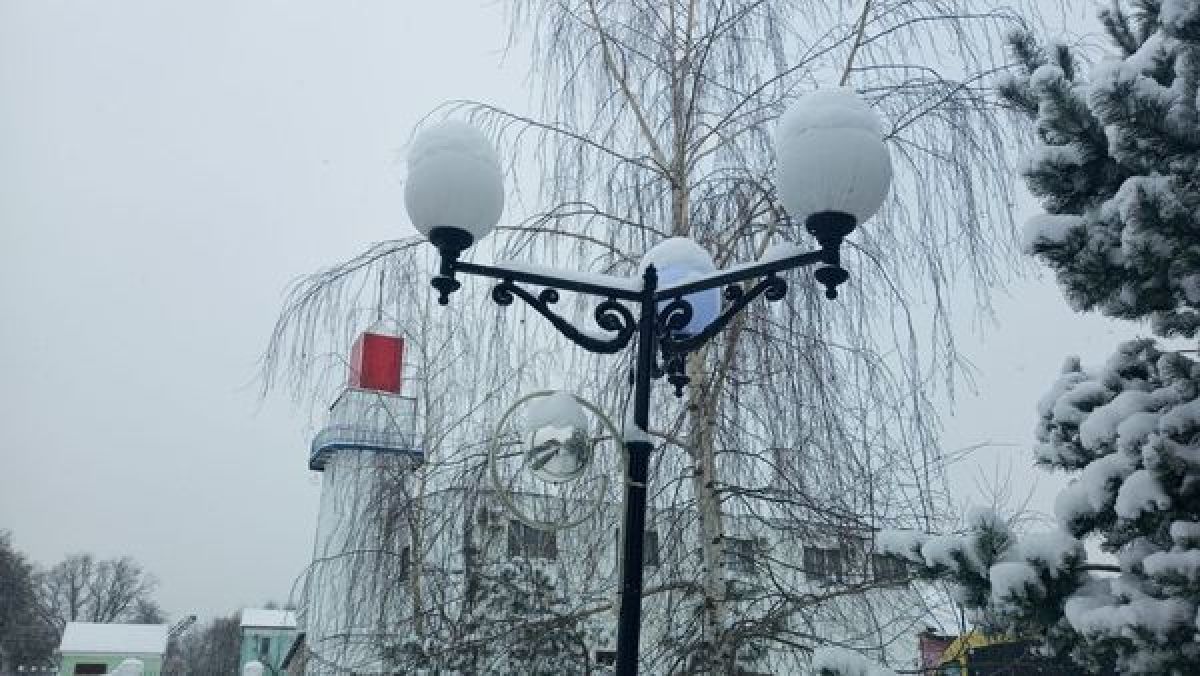 Алексей Андрианов