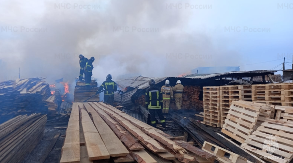 Во Владимирской области произошёл крупный пожар на пилораме