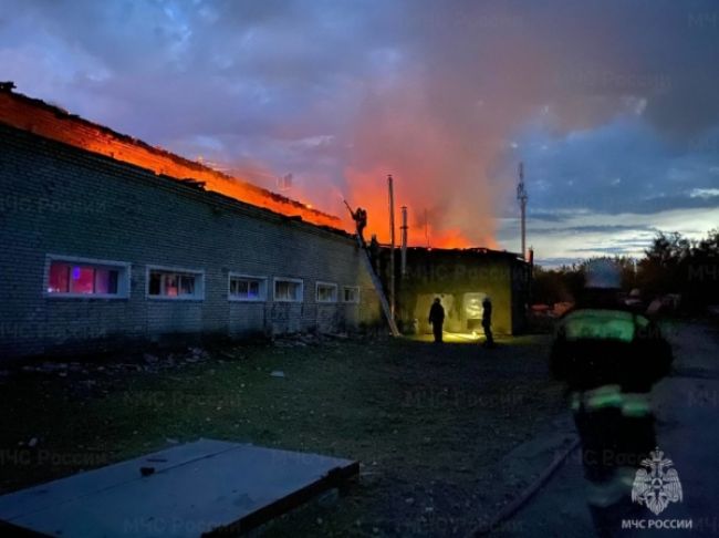 Фото: 33.mchs.gov.ru