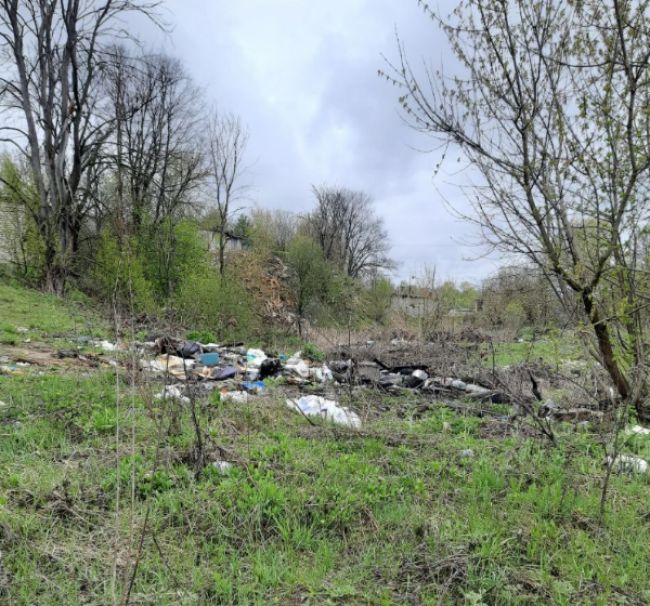 В одном из районных городов Владимирской области возникла стихийная свалка