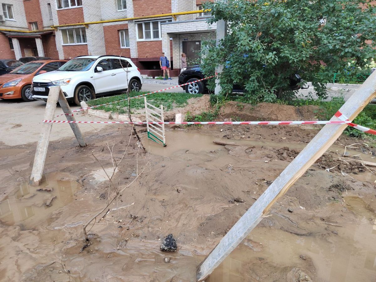 Татьяна Пинкасевич / Владимирские Новости