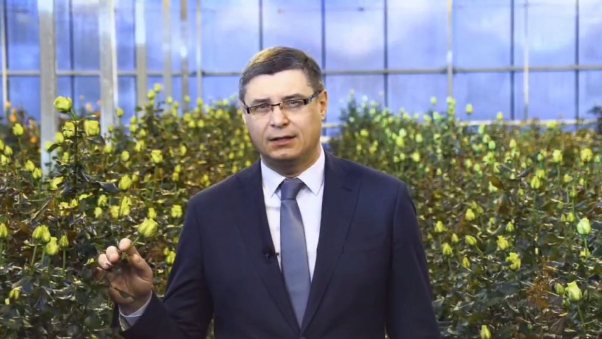 Губернатор Владимирской области