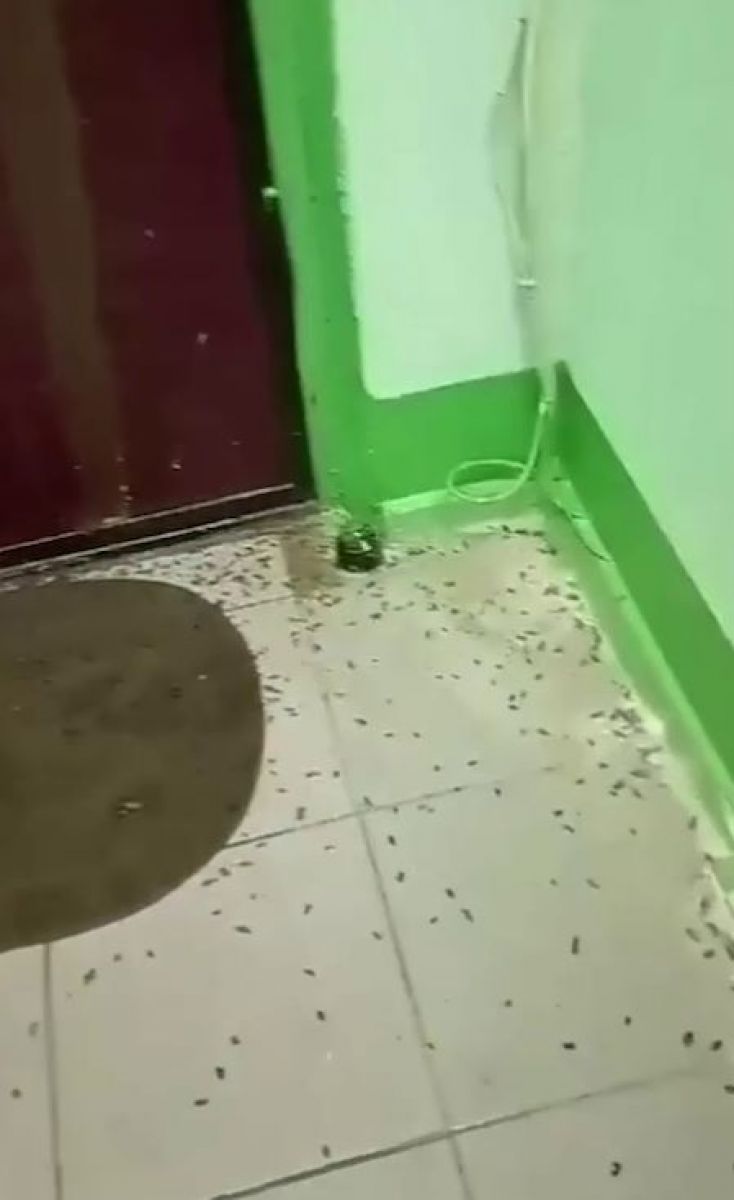 Народный фронт — Владимирская область