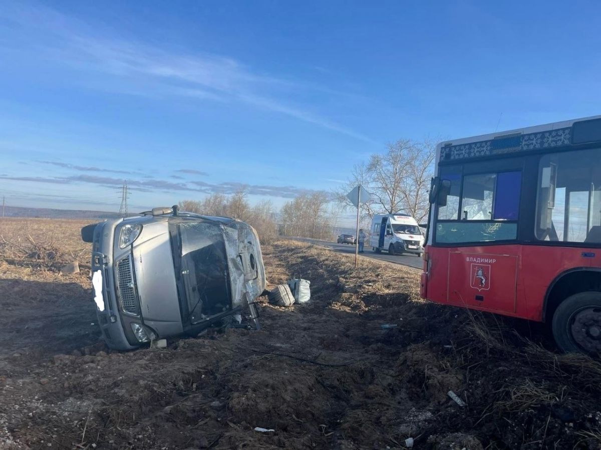 Во Владимирской области в столкновении автобуса и газели пострадали 3 человека