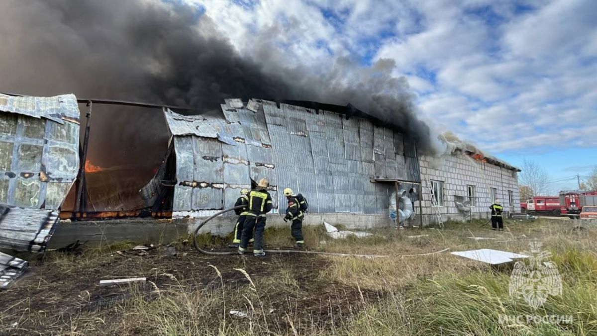 Во Владимирской области полдня тушили пожар на заводе по производству дверей. Видео