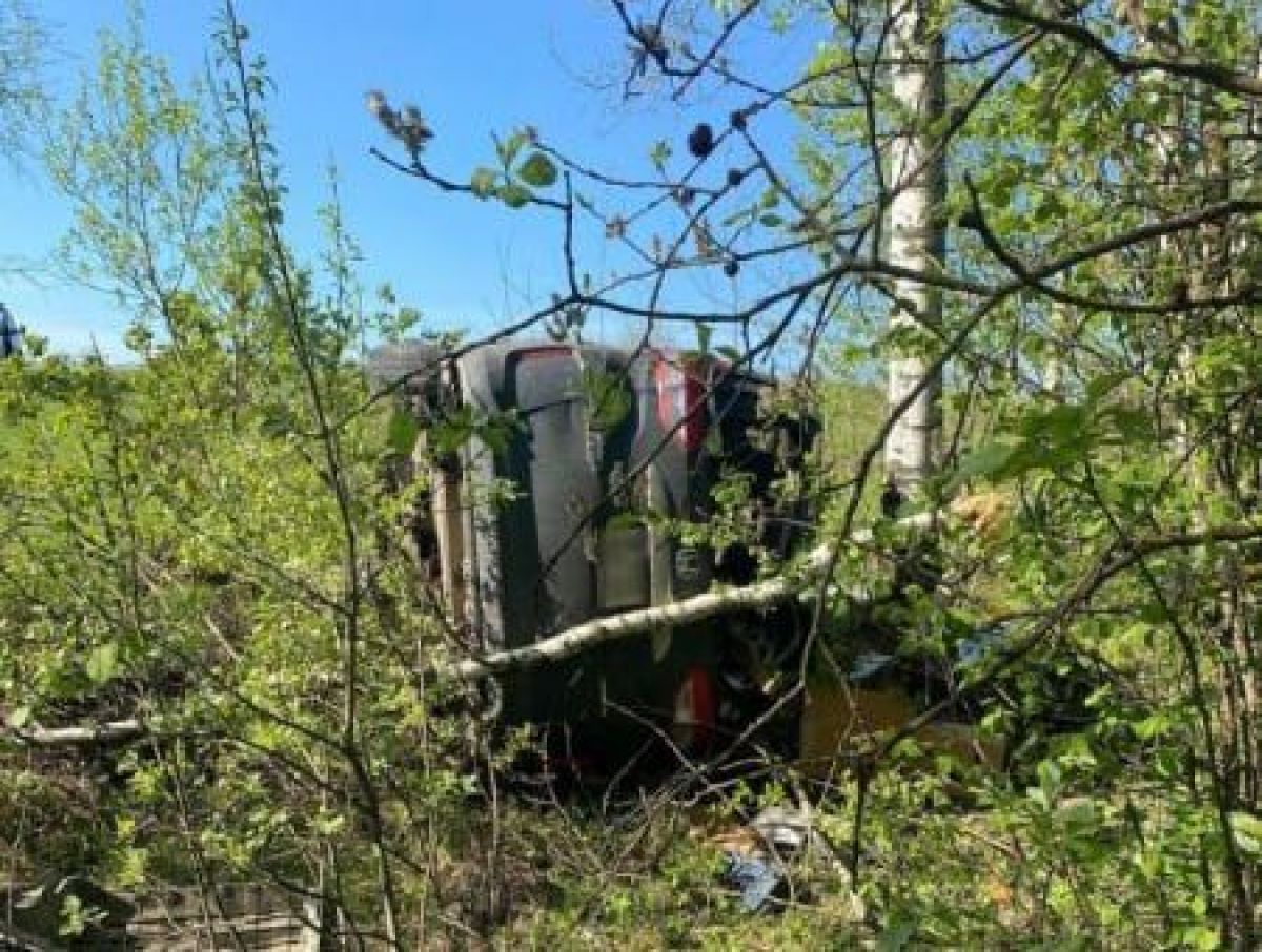 Смертельная авария во Владимирской области: автомобиль врезался в дерево
