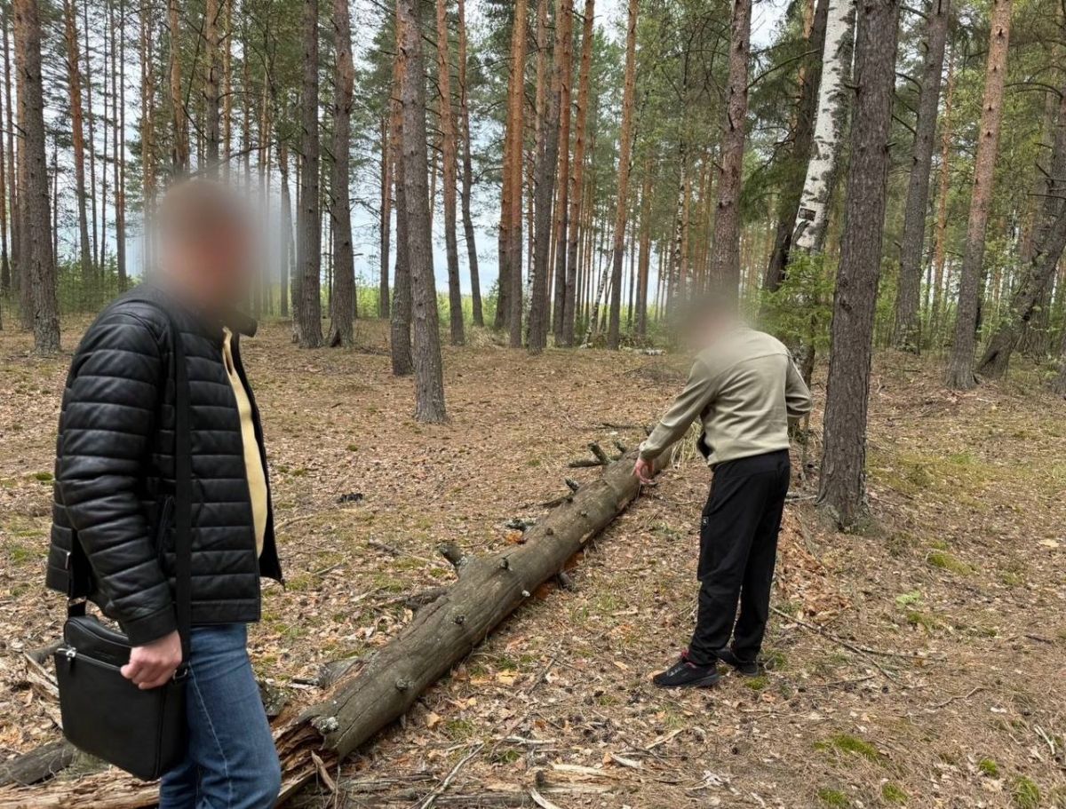 СУ СК России по Владимирской области