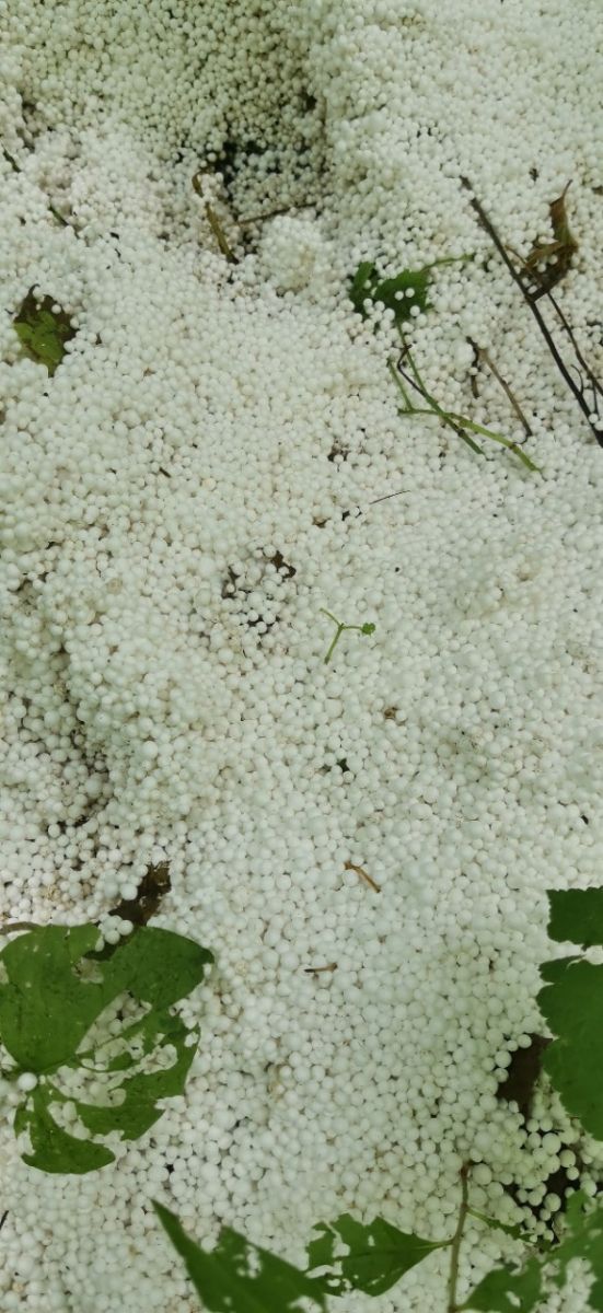 fileprobel1.[11]