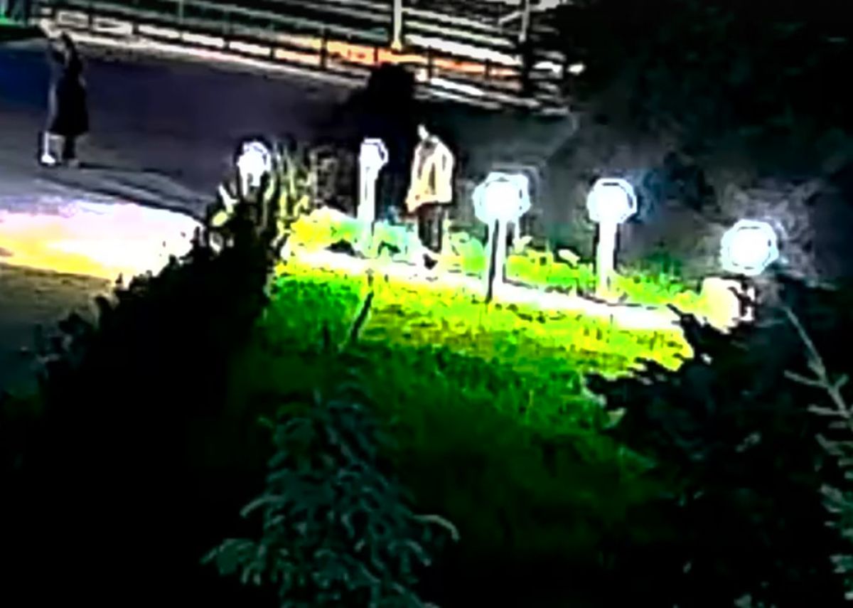 Подслушано во Владимире