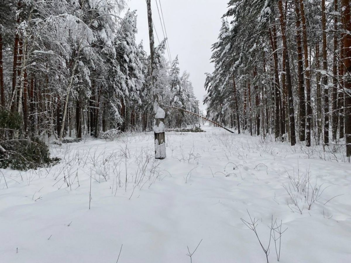 Циклон «Фрэнсис» оставил жителей Владимирской области без электроснабжения