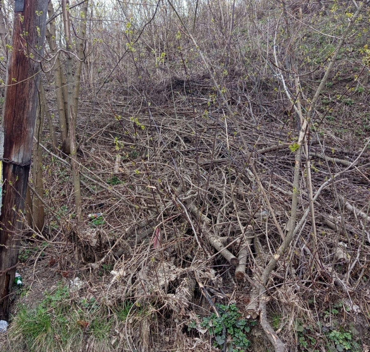 9sh8f_3p1arrtx67hufc6koz49loi-h5ksg8xwdjjj3w4m2qypspizgk6ife1w3slyxdgpvrjyoyv9qrsdmo7ctzprobel1probel1