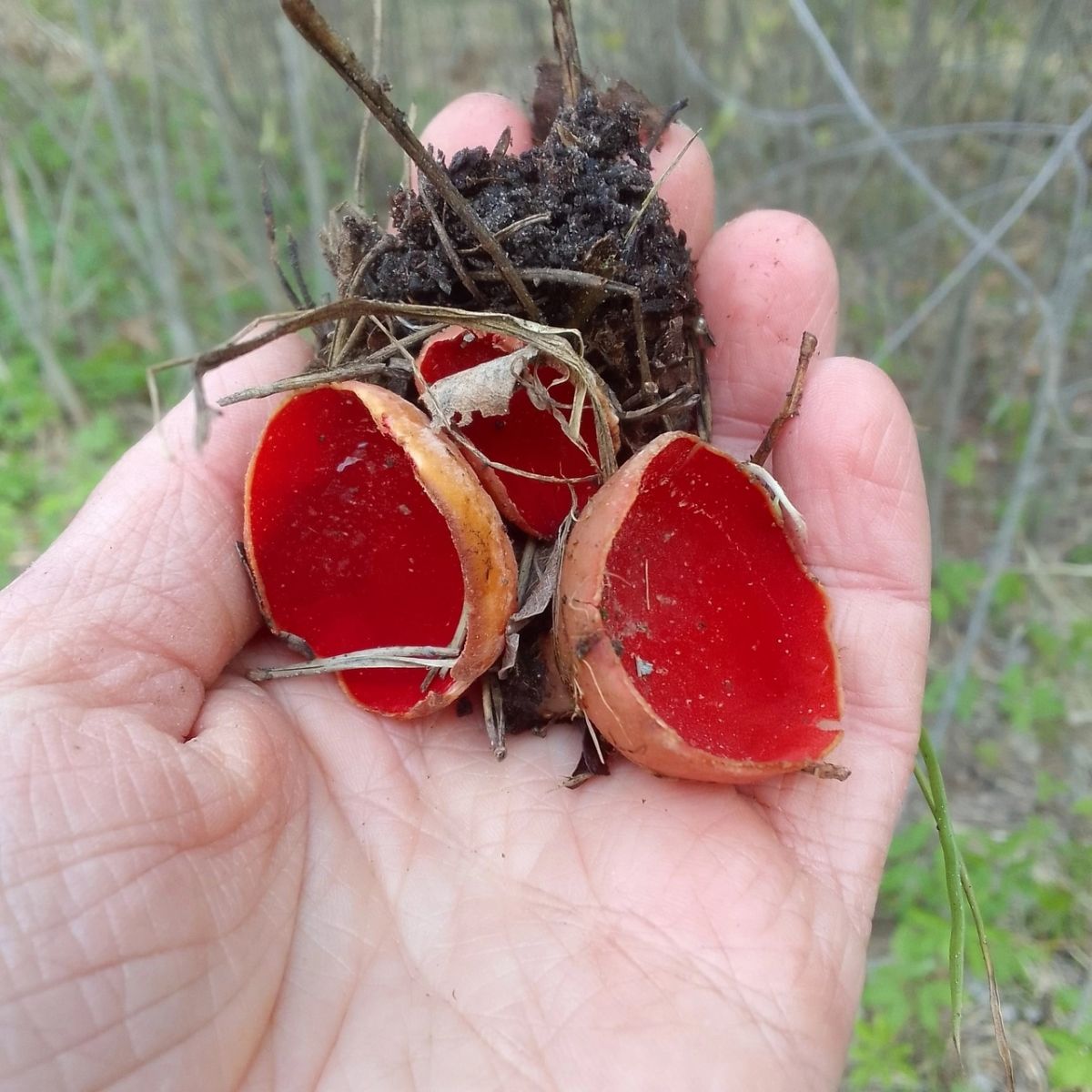 _n4od5bdhzipg2gckxqnf2texr79b4dyze4jdpu-zhlr6lsufrryvypgwi2yfft9yovovi2gbnmvfzwt68_ybxrq