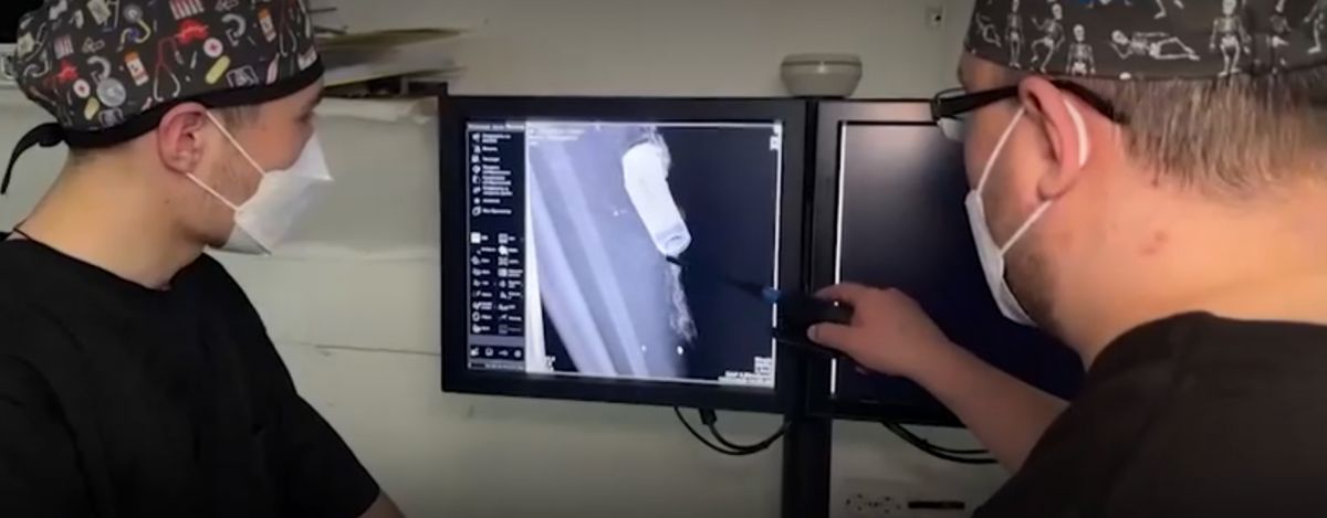 eqx5z4dmo4s4-hoaflesr_pyniiqrm1b5irak9jtnpytyvugsnwtmwoz2geq6mor_nbnqo16-9xpj8x4h7kwbpqy