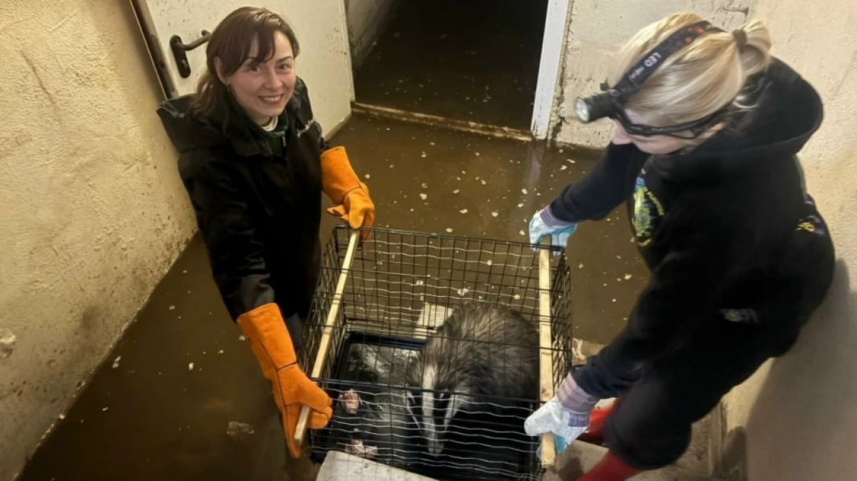 photo_2026-04-24_09-47-52