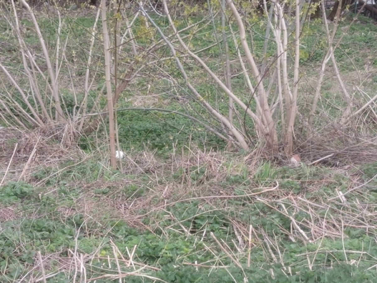 txmd2johitgcvqrdol1wfwsb8u9_fnm2vv3y4jr3o27xxbyh-t38zy0olmj93jnemqhggtde5uilzxg5nwcntkrpprobel1