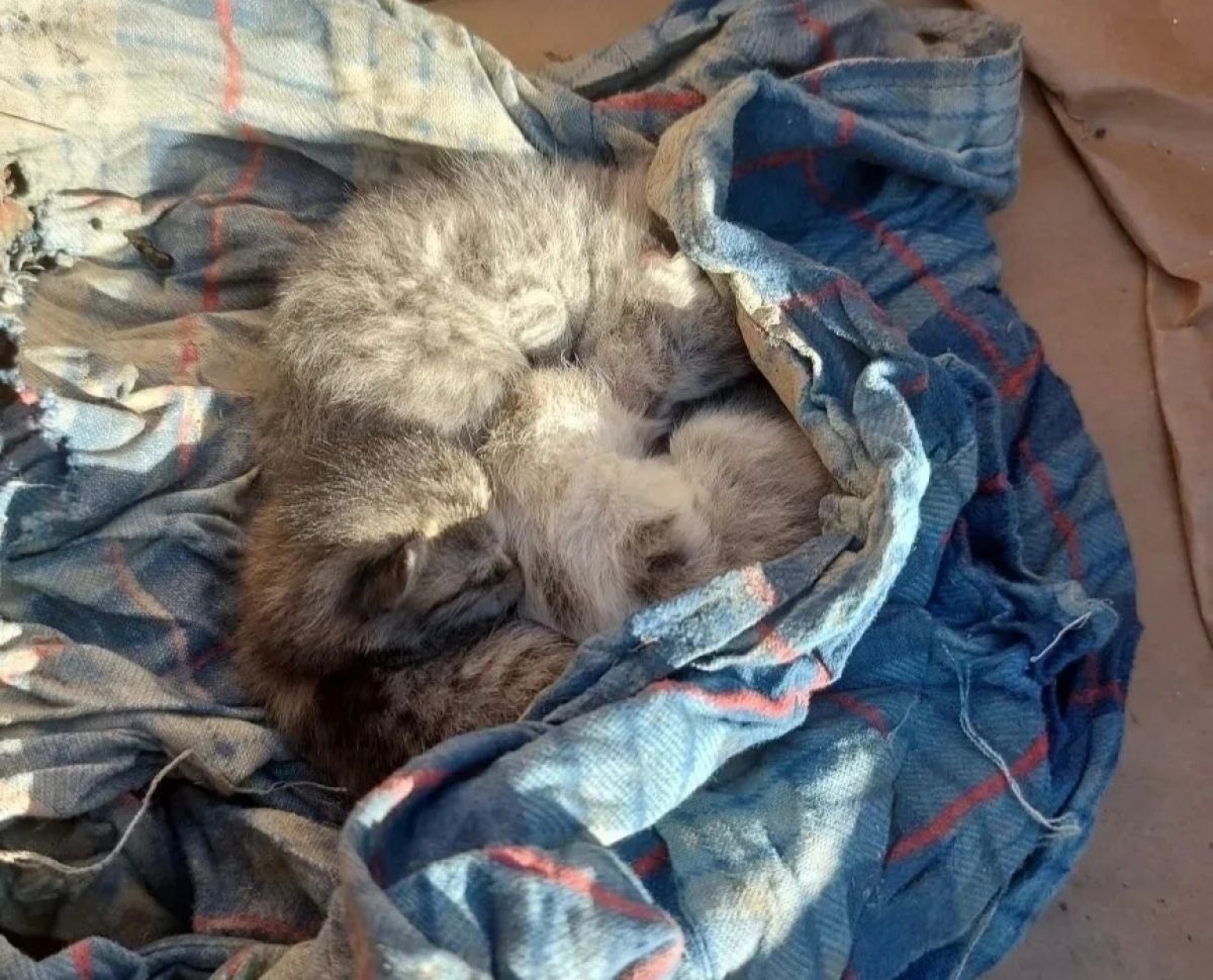 xbhqorfm9g1qnaio0jriuerhprkze13s-r0u_nmbmgec4ah8fsm-ryffzrxxoxq31kavxcatt5mjx-qmy8li-w4f