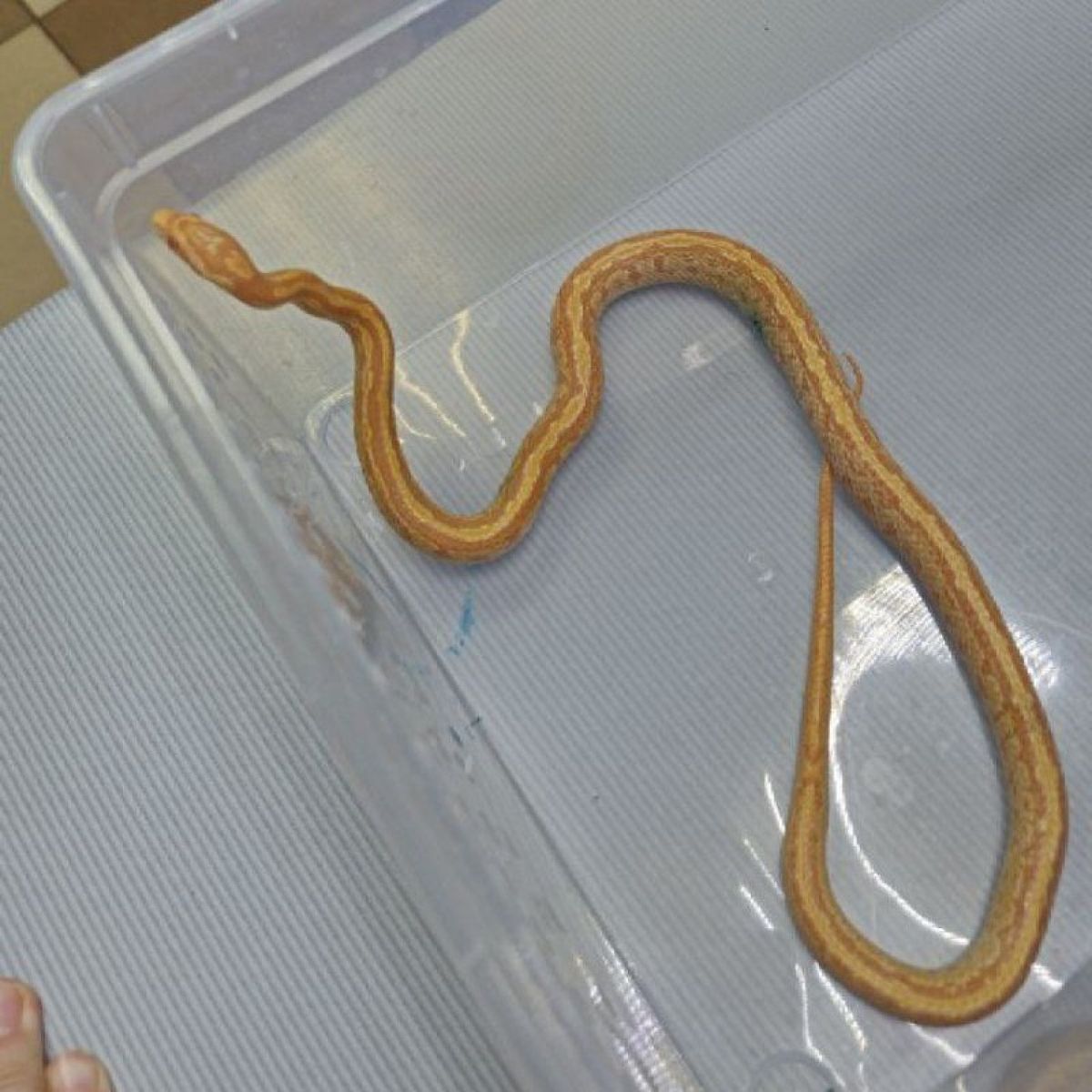 a01692ad-9c8e-4d59-95c6-3dd0aef26afe