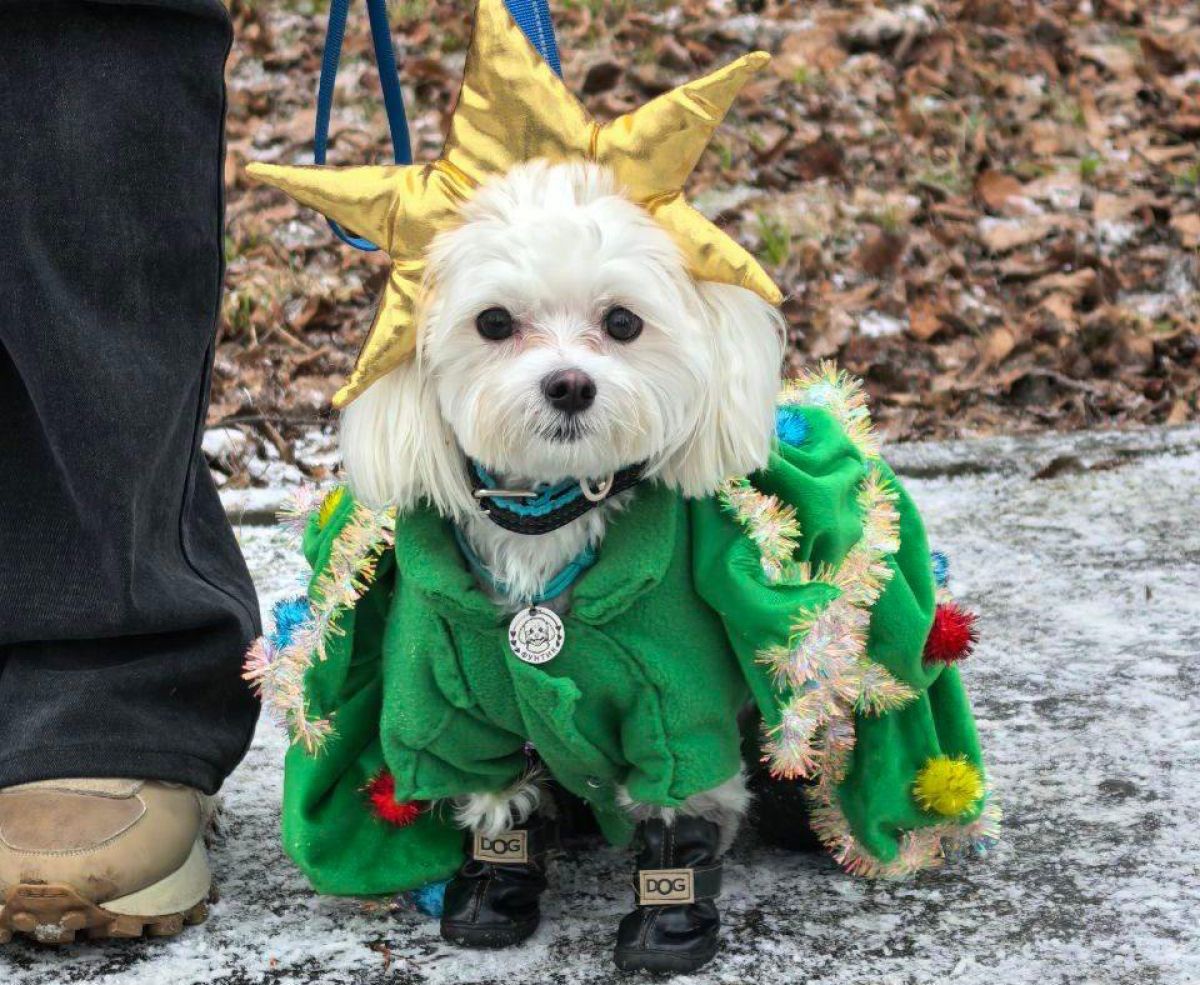 2025-12-21probel15-39-52