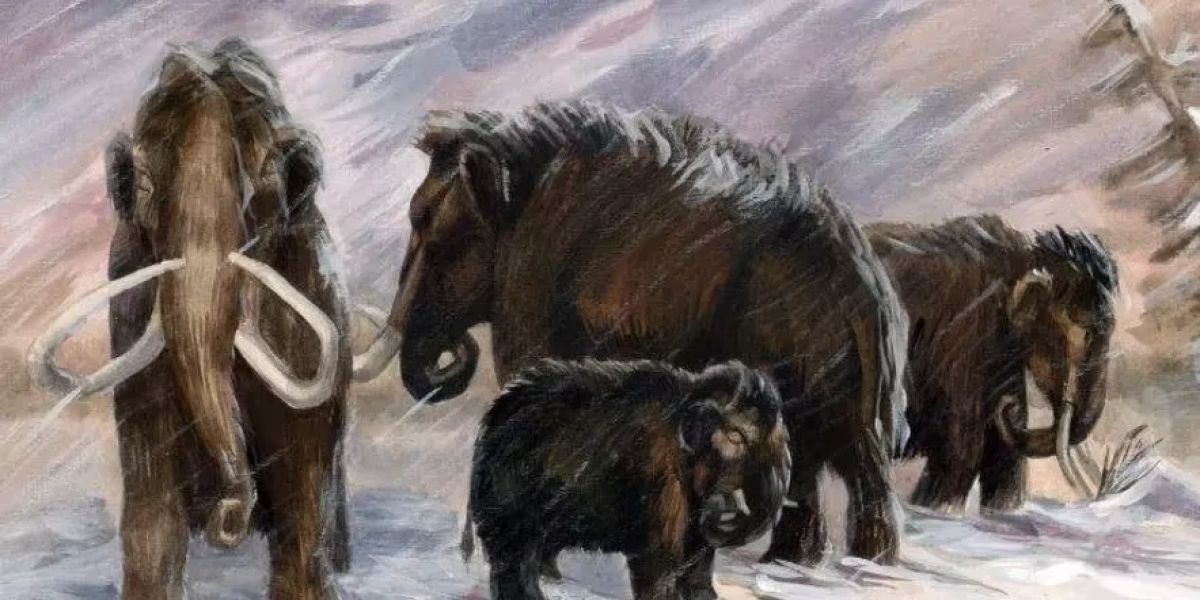 2bb88b792a20bdb9dd49ca6c2ecc3b89-jpg