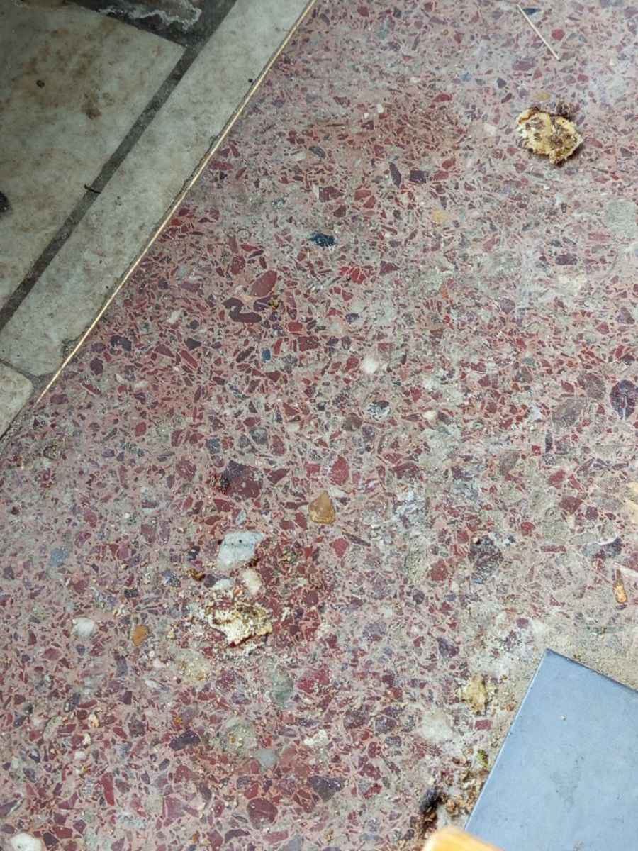 photo_2026-02-16_17-15-20probel3