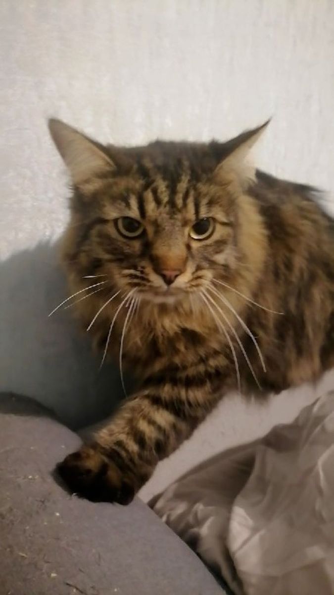 b01814ba-9b4c-4de8-8a7b-1fab87d2b9e7