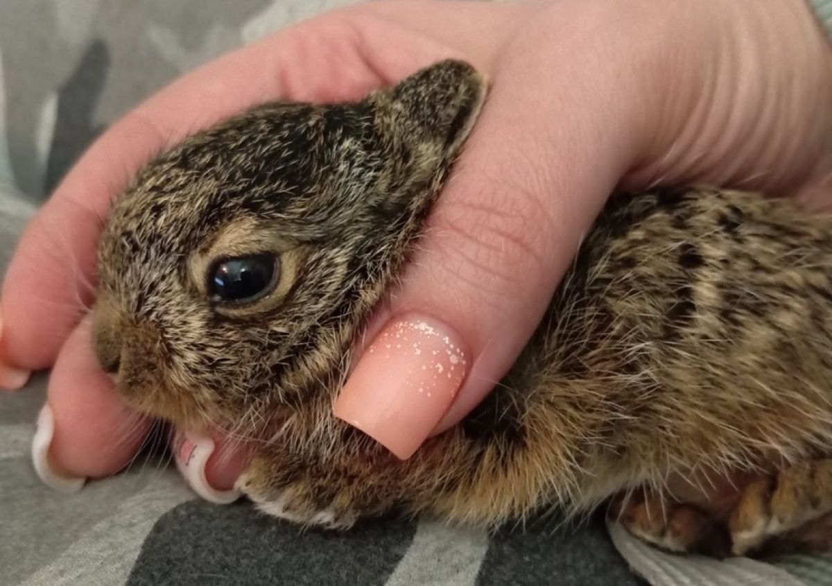 cd5b5368-6354-4e54-9b3d-349c5064386d