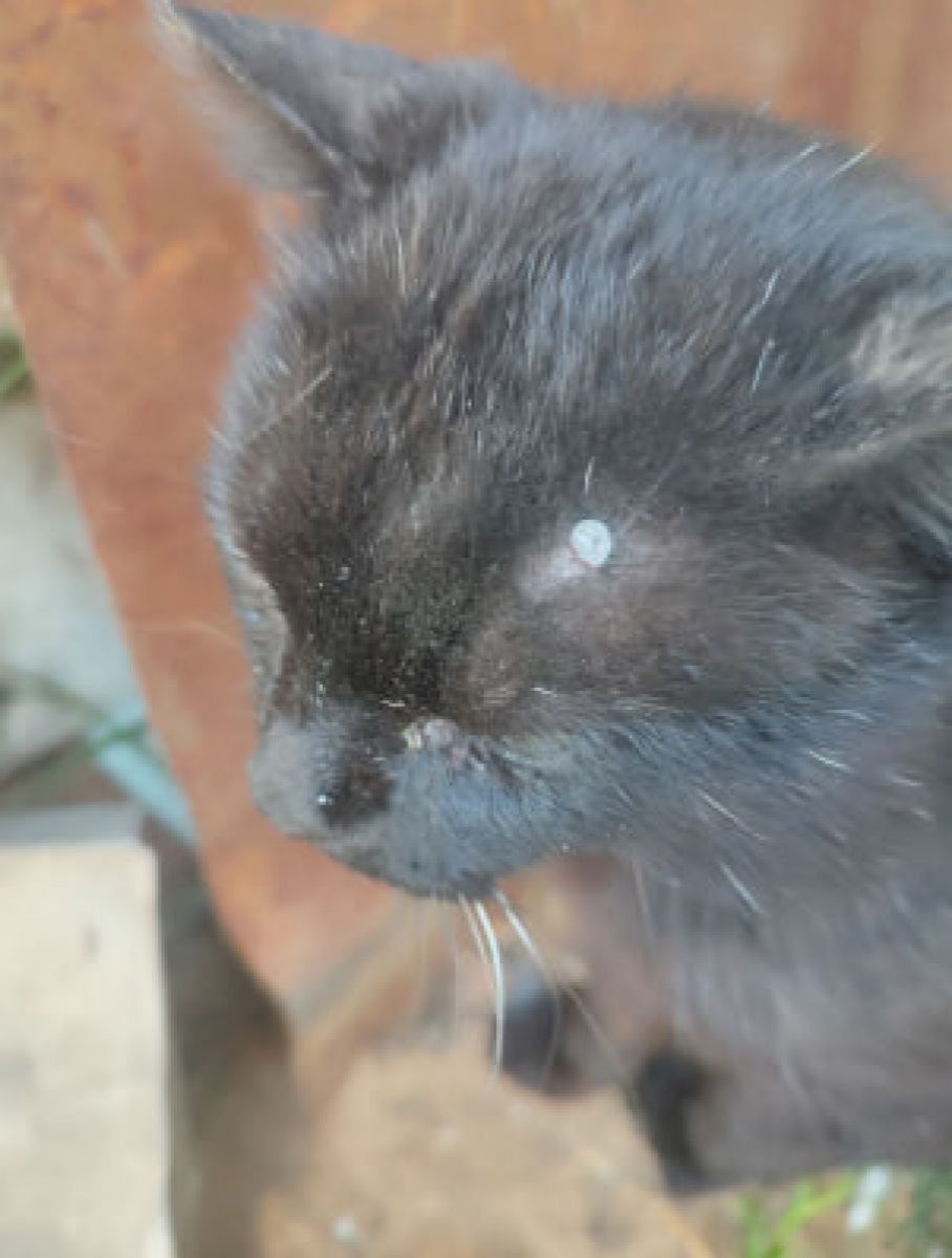 d063ce77-ddf1-4f57-9b1d-e33e94d217c9