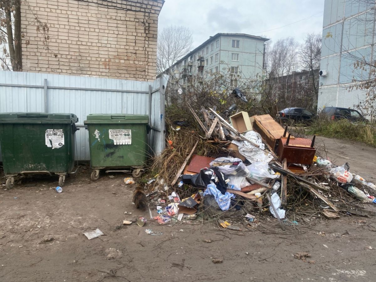 8sflp5st35yaai6or4gxqve88qbe9dty0pk8zfxyrsxrqmntwlegj-tp-4kfj0eocudz3_2k9t_5xxelc_alxrsw