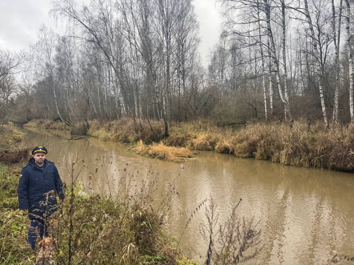 СК проверяет информацию о загрязнении реки Пекша во Владимирской области