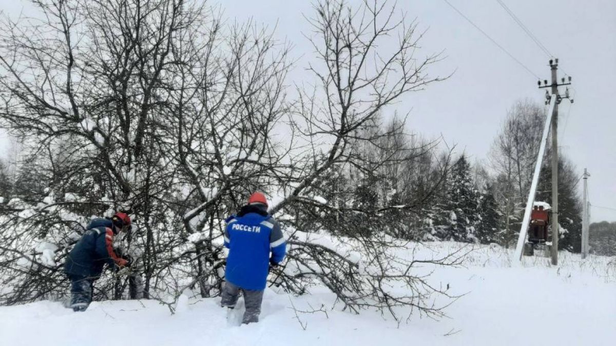В нескольких районах Владимирской области непогода стала причиной перебоев с электричеством
