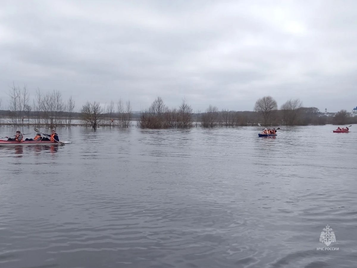 kji-apyw5ka0whkieui8v1u-tg_nzpmzfxqyuuoc_yu7lq6t6xbdvnlymhuwekjlryo2oeps5jhcae84viky_adm