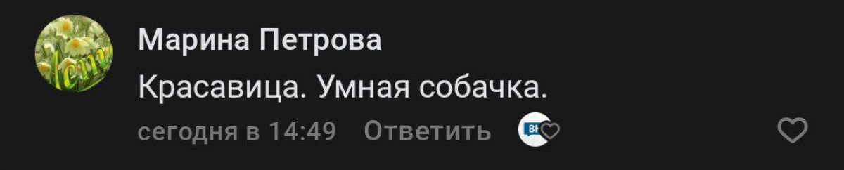 2e970f14-43ac-4bbf-ad9a-473cf68da811