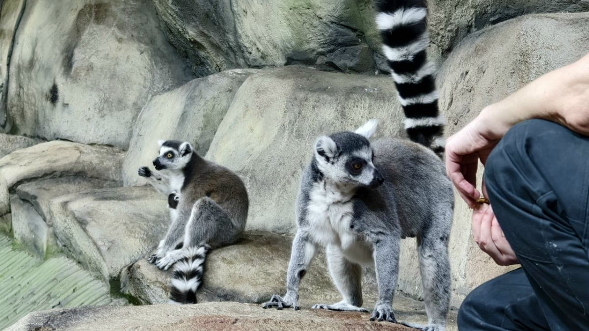 iuq5xqmqiw-5lzt7rxa9wp4imzwawbll11v_v5b_px7w2kunpgrifur4_0o9auh0cprhycvf5cesd35zyksg7w0fprobel1.[1]