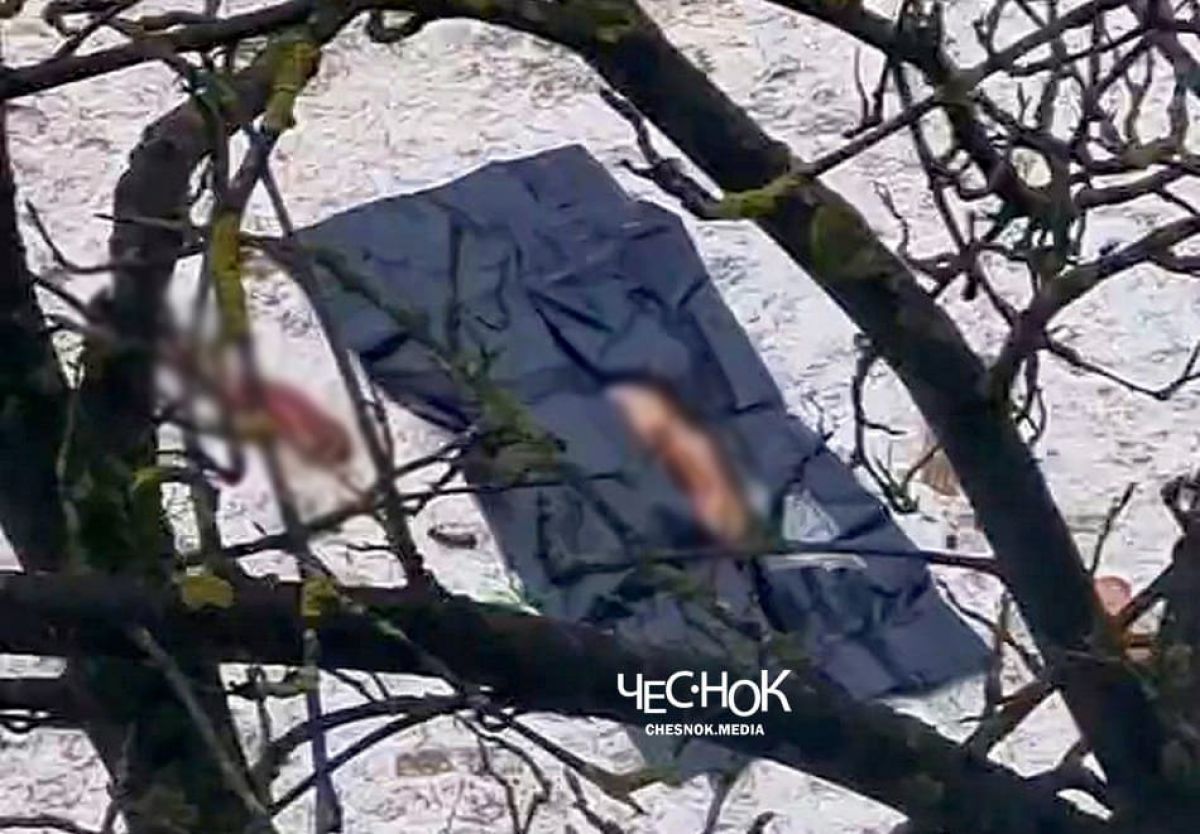 semki-kino-raschlenenka