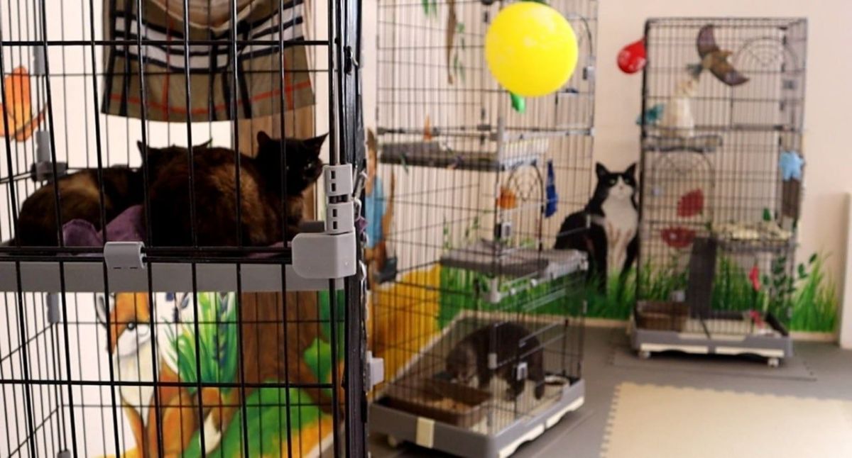 photo_2025-04-10_16-09-47