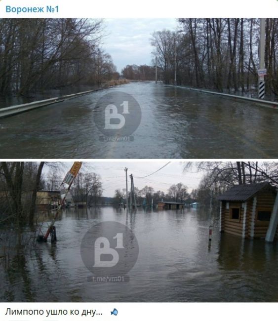 В Воронежской области затопило несколько построек и проезжую часть