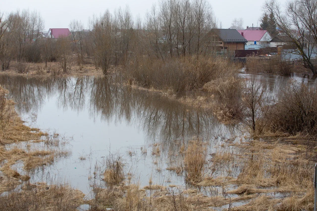 В Воронежской области затоплено 17 низководных мостов и подтоплено 39 приусадебных участков