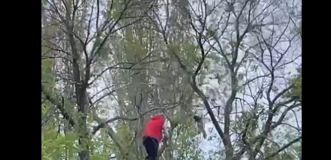 Скришот