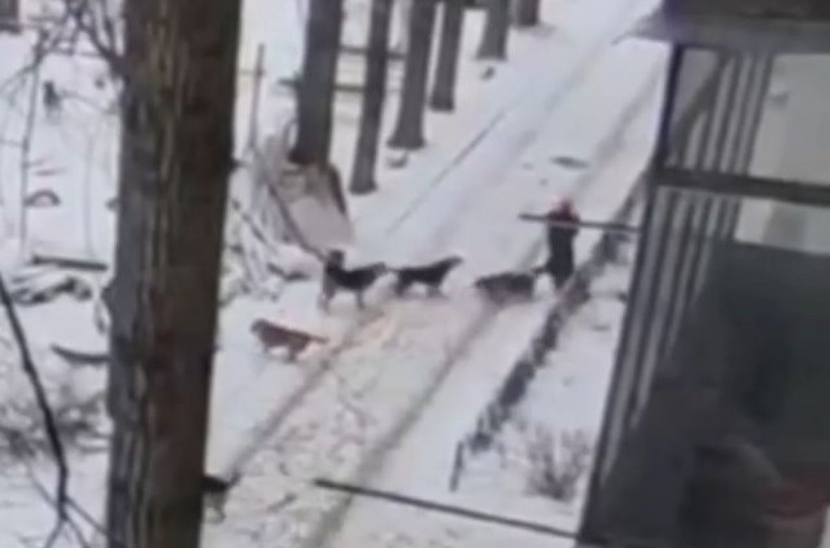 Скриншот видео из телеграм-канала "Жители Воронежа (Мкр.Шилово)"