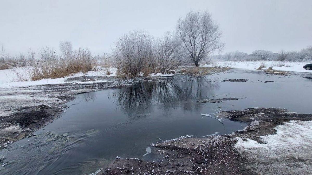 Сточными водами загрязнили реку Усмань в воронежском поселке Отрадное