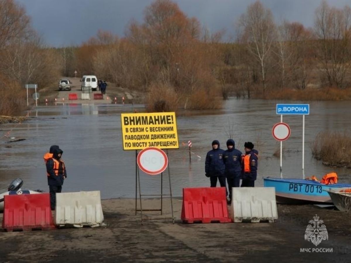 В Воронежской области семь мостов через реки могут закрыть из-за половодья